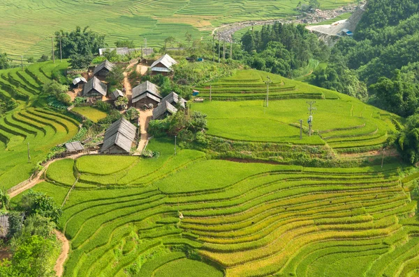 Místní vesnice s rýžové terasy — Stock fotografie