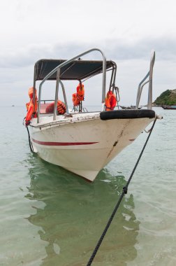 Tourist Boat near the Shore clipart