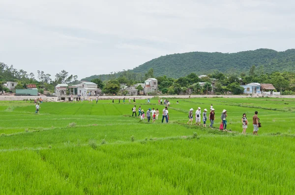 Touristes marchant à travers le riz Paddy — Photo