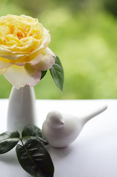 Žlutá růže do vázy a pták — Stock fotografie