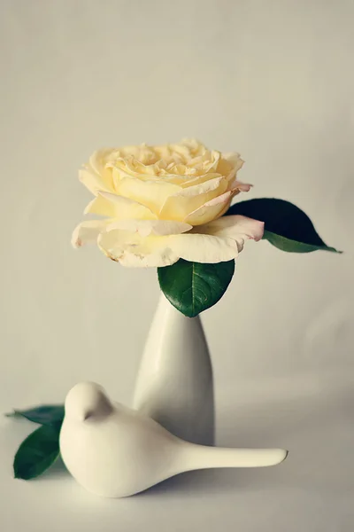 花瓶と鳥の黄色いバラ — ストック写真