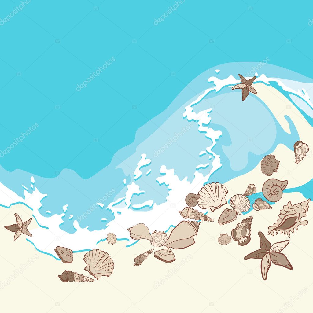 Shells and starfishes on sand background