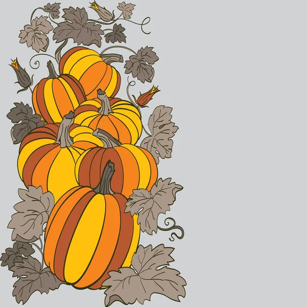 Pumpkin Background — Stock Vector