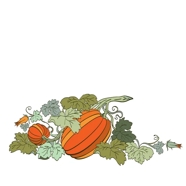 Pumpkin Background — Stock Vector