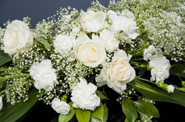 stock image White roses