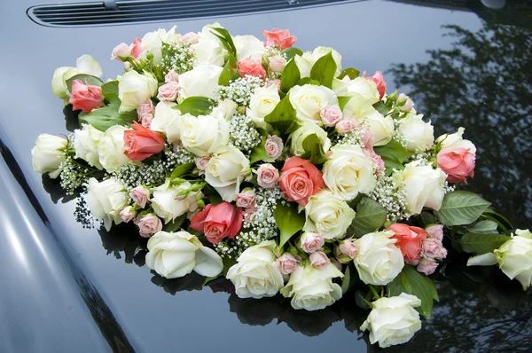 stock image Pink and red roses