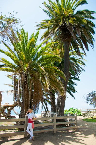 Palmen im sonnigen Park — Stockfoto