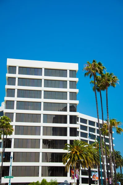 Palm trees and modern architecture — Stock Photo, Image