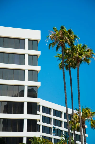 Palm trees and modern architecture — Stock Photo, Image