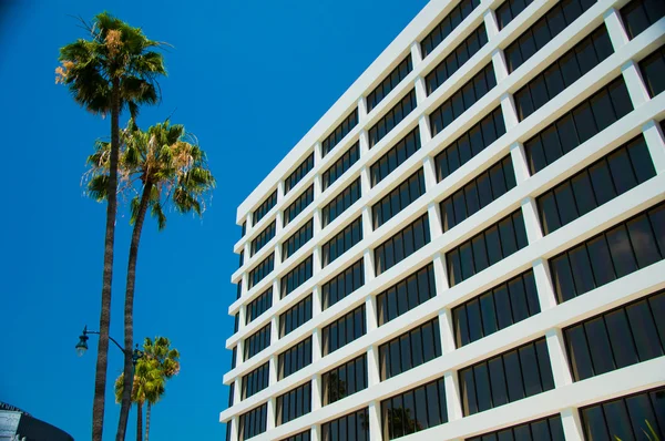 Palmiye ağaçları ve modern mimari — Stockfoto