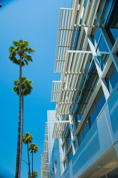 Palmiye ağaçları ve modern mimari — Stok fotoğraf