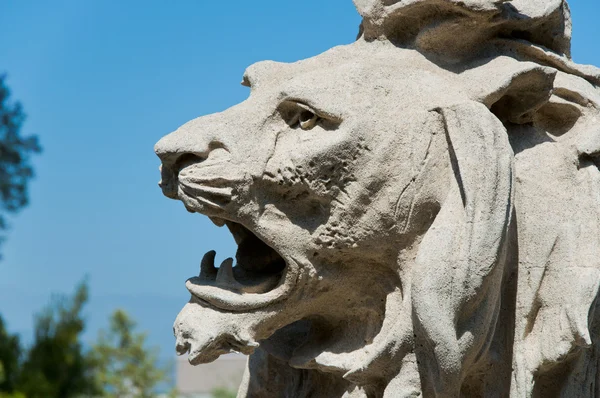 Cabeza de león — Foto de Stock