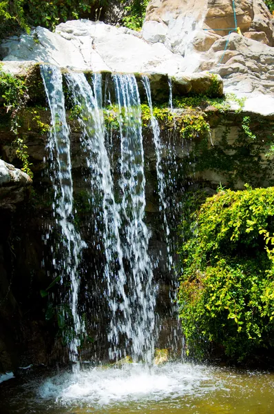 Wasserfall im Zoo von los angeles — Stockfoto