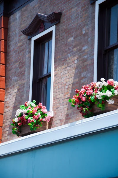 창과 꽃 배열, — 스톡 사진