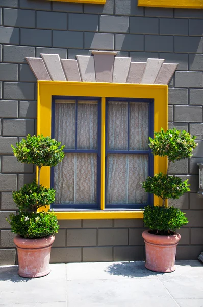 Fenster und Blumenschmuck, — Stockfoto