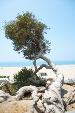 tipik deniz manzarası