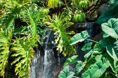 waterval in de zoo van los angeles