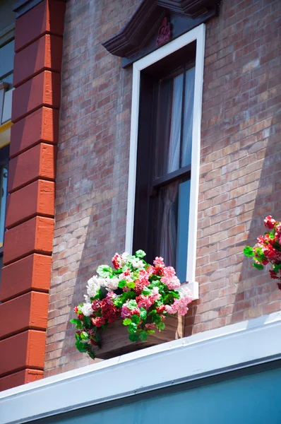 Fönster och blomma arrangemang, — Stockfoto