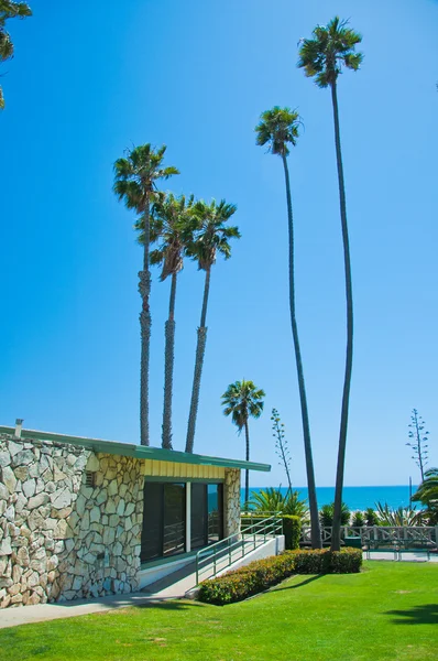 Parque exótico en Santa Mónica — Foto de Stock