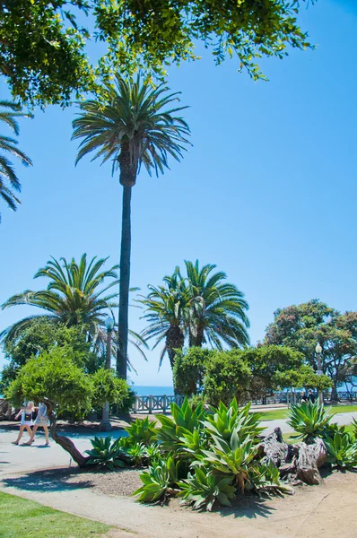 Екзотичні парк в Санта-Моніці — стокове фото