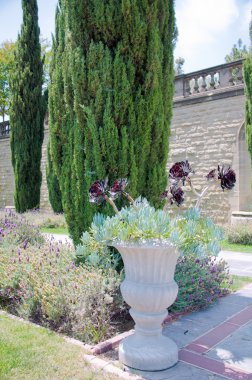 bahçenizi birinde park