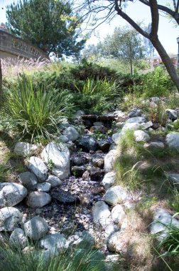 Garden with pond in asian style