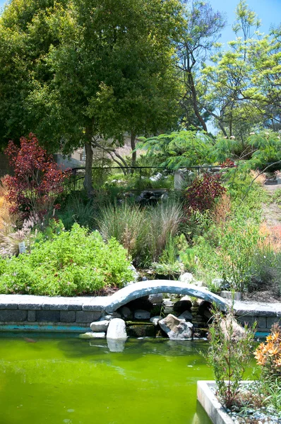 Jardim com lagoa em estilo asiático — Fotografia de Stock