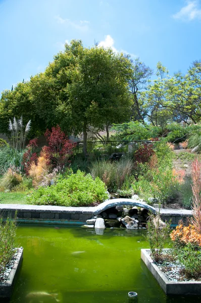 Trädgård med damm i asiatisk stil — Stockfoto