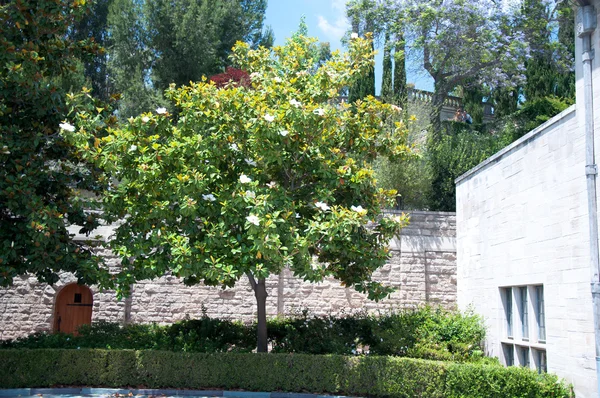 Casa in pietra con bel giardino soleggiato — Foto Stock