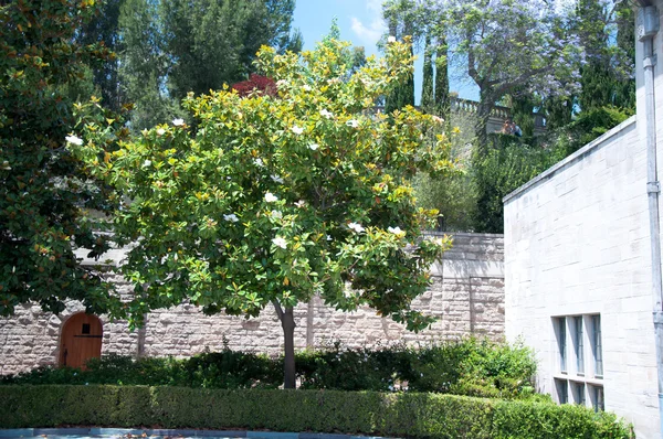 Casa de pedra com belo jardim ensolarado — Fotografia de Stock