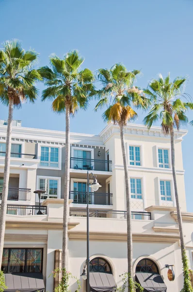 Vit bostads byggnad och palm tree — Stockfoto