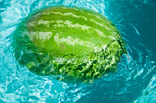 Grüne Wassermelone — Stockfoto