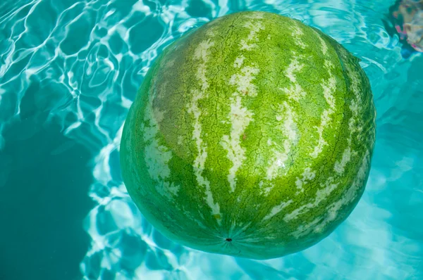 Grüne Wassermelone — Stockfoto