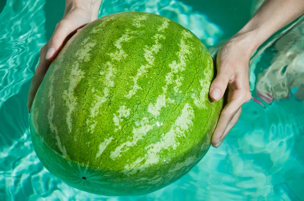Grüne Wassermelone in Frauenhänden — Stockfoto