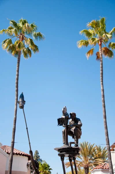 Enda palm tree — Stockfoto