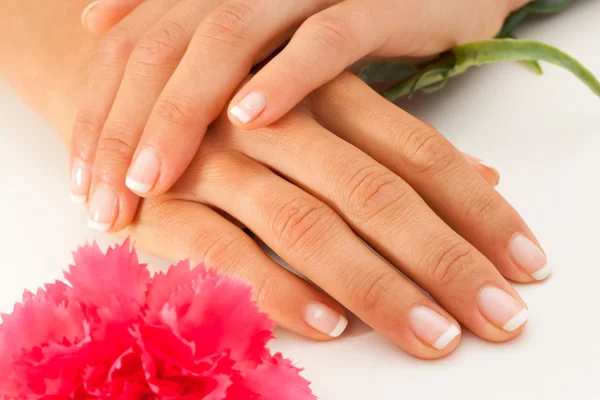 Vrouwelijke handen met franse manicure. — Stockfoto