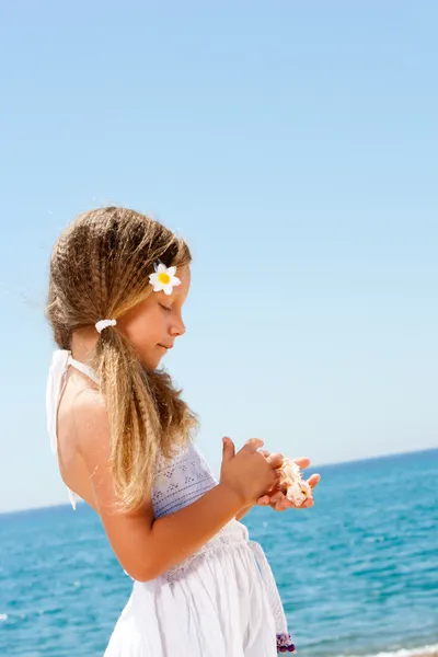 Menina bonito segurando conchas na praia ensolarada . — Fotografia de Stock