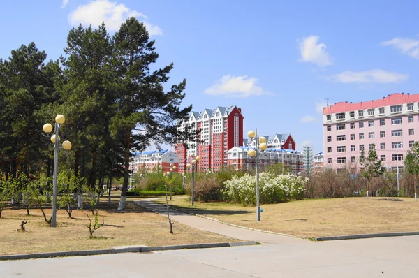 Heihe (China). Urban Landscape with Pines — Stock Photo, Image