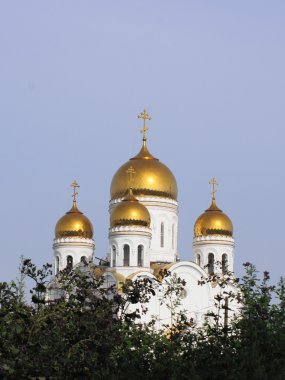 Church of the Nativity in the city of Krasnoyarsk (01) clipart