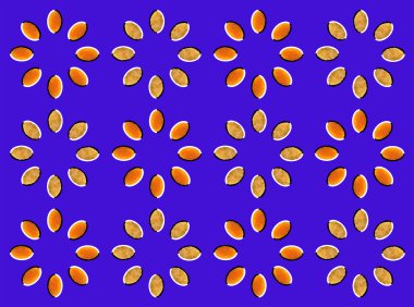 Optical illusion with circles made from dried fruits (apricot and pear) clipart