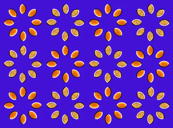 Optical illusion with circles made from dried fruits (apricot and pear) — Stock Photo, Image
