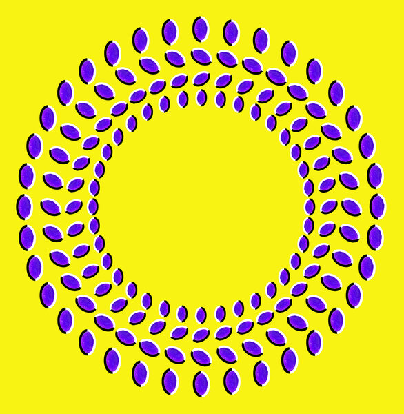Optical illusion with circles made from dried fruits