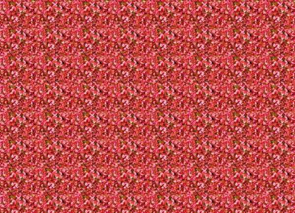 赤い花の要素と抽象的なテクスチャ — ストック写真