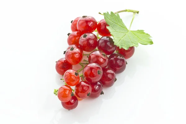 Red currant berries. — Stock Photo, Image