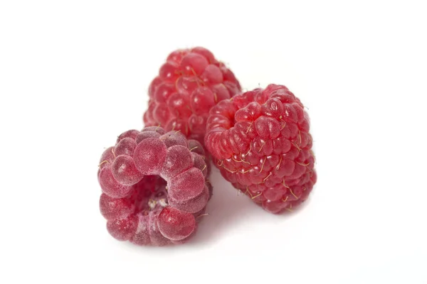 成熟莓. — 图库照片