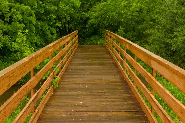 Wooden Bridge — Stock Photo, Image