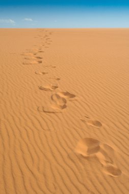 Footprints at Coral Pink Sand Dunes State Park, Utah clipart