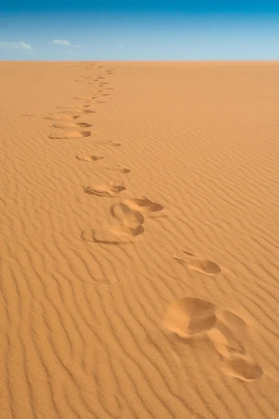 코랄 핑크 모래 언덕 주립 공원, 유타에서 발자국 로열티 프리 스톡 사진