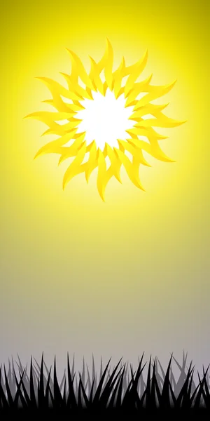 The Sun background — Stock Vector