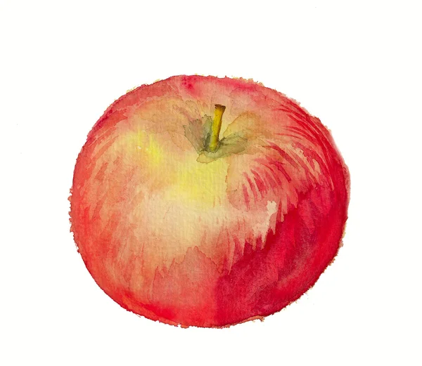 Акварельне зображення червоного яблука — стокове фото